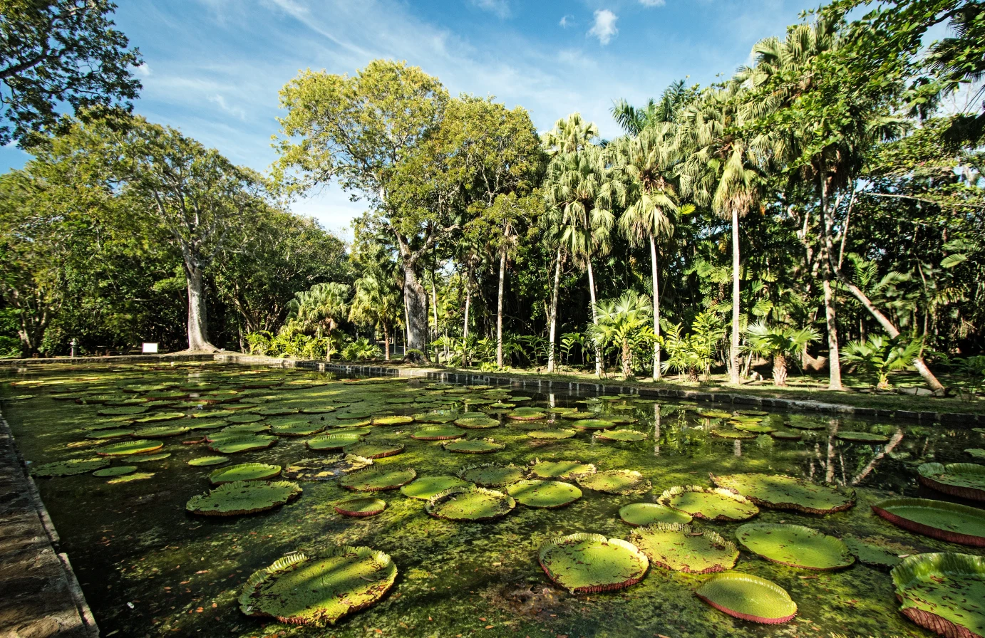Grand Baie and north Mauritius tour