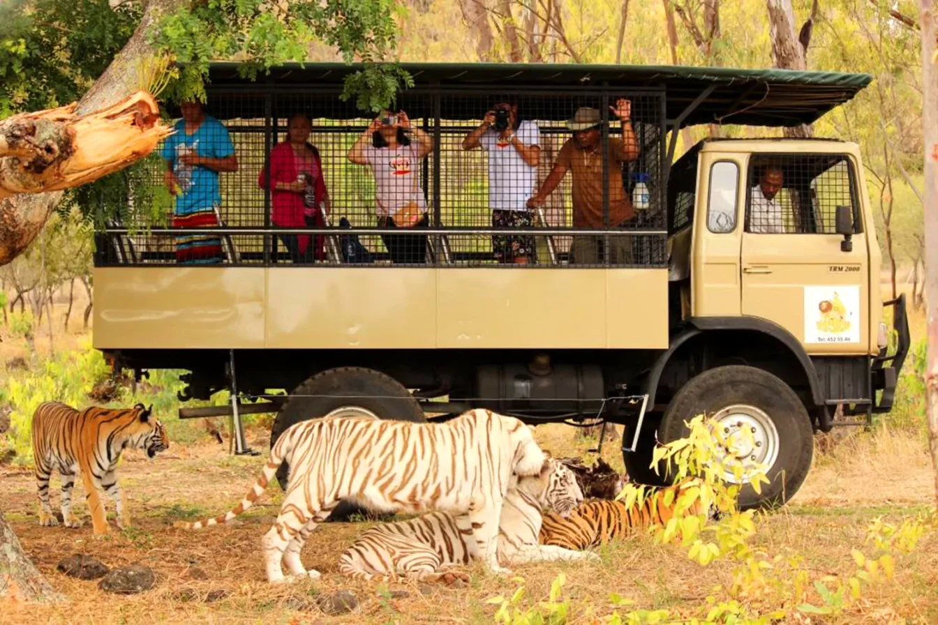 West Mauritius dolphins and wildlife tour